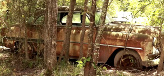 Abandoned Vehicles Rescued From Swamp After 50 Years