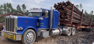A Day In The Life Of A Log Truck Driver In The Florida Swamps