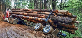Huge Wood Logging Truck Driving Skill