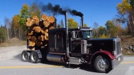 Peterbilt 359: A Legendarily Cool Big Rick Truck to Rule the Entire Logging Word