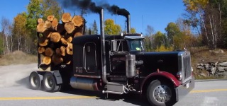 Peterbilt 359: A Legendarily Cool Big Rick Truck to Rule the Entire Logging Word